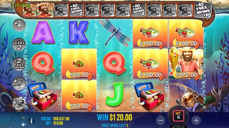 Overview of big bass splash