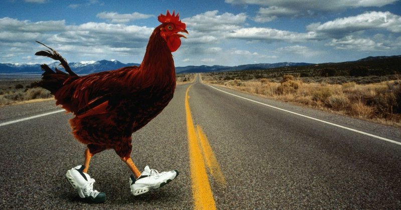Best chicken road in Spain